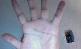 bebemx